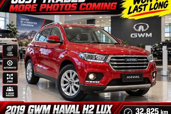 2019 GWM H2