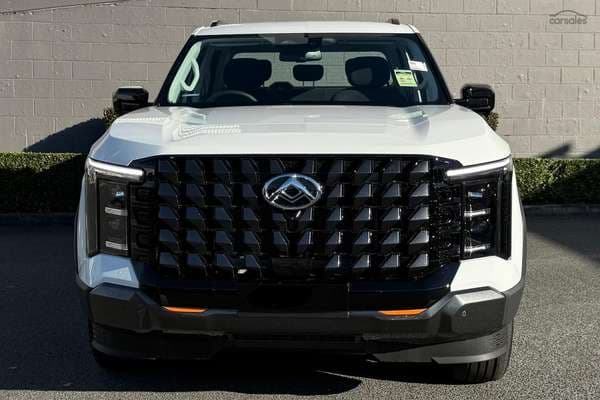 2025 LDV Terron 9